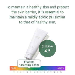 mixsoon centella cleansing foam