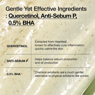 anua heartleaf quercetinol cleanser